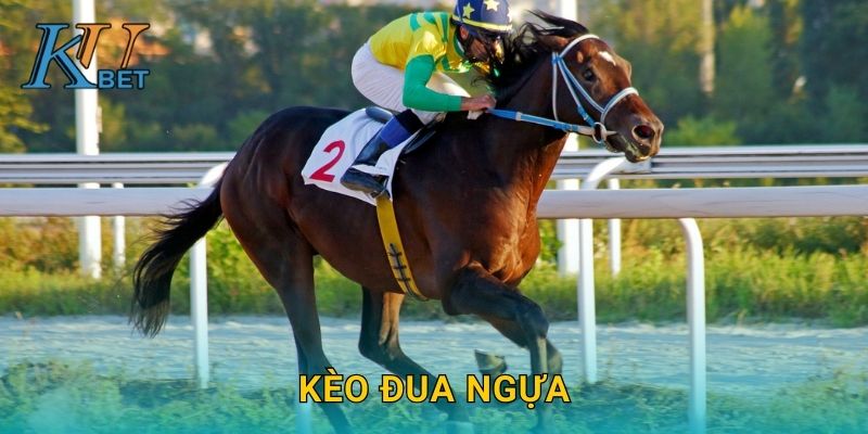 Kèo đua ngựa Kubet và cách dự đoán chính xác Kubet
