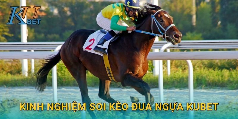 Kinh nghiệm soi kèo đua ngựa Kubet