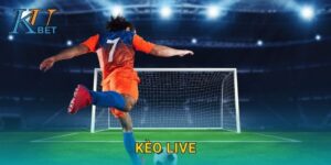 Kèo Live Kubet và trải nghiệm cá cược trực tiếp Kubet